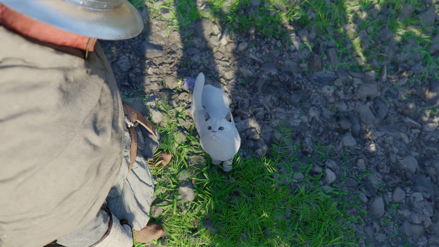 붉은사막) 길에서 만난 하얀 고양이_3.webp