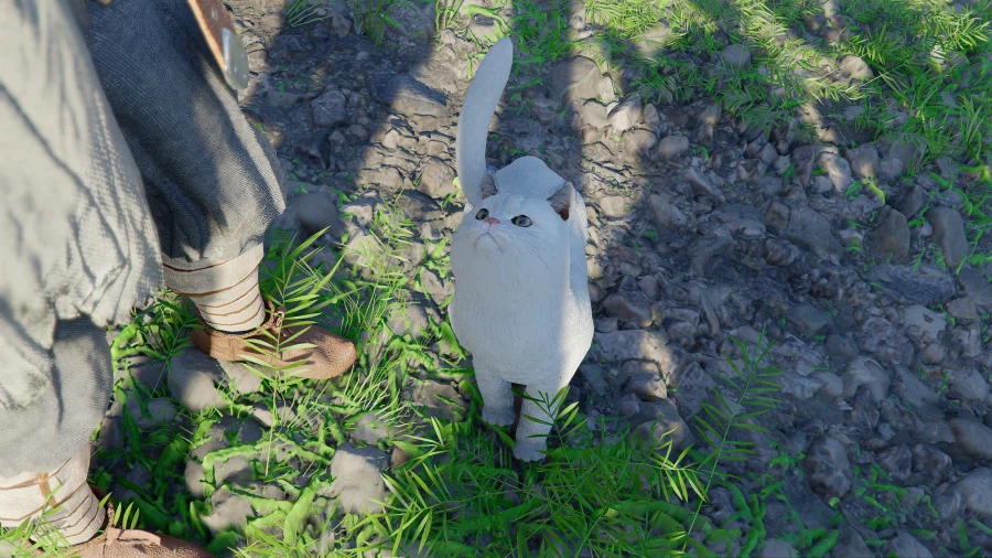 붉은사막) 길에서 만난 하얀 고양이_5.webp