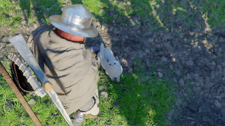 붉은사막) 길에서 만난 하얀 고양이_8.webp