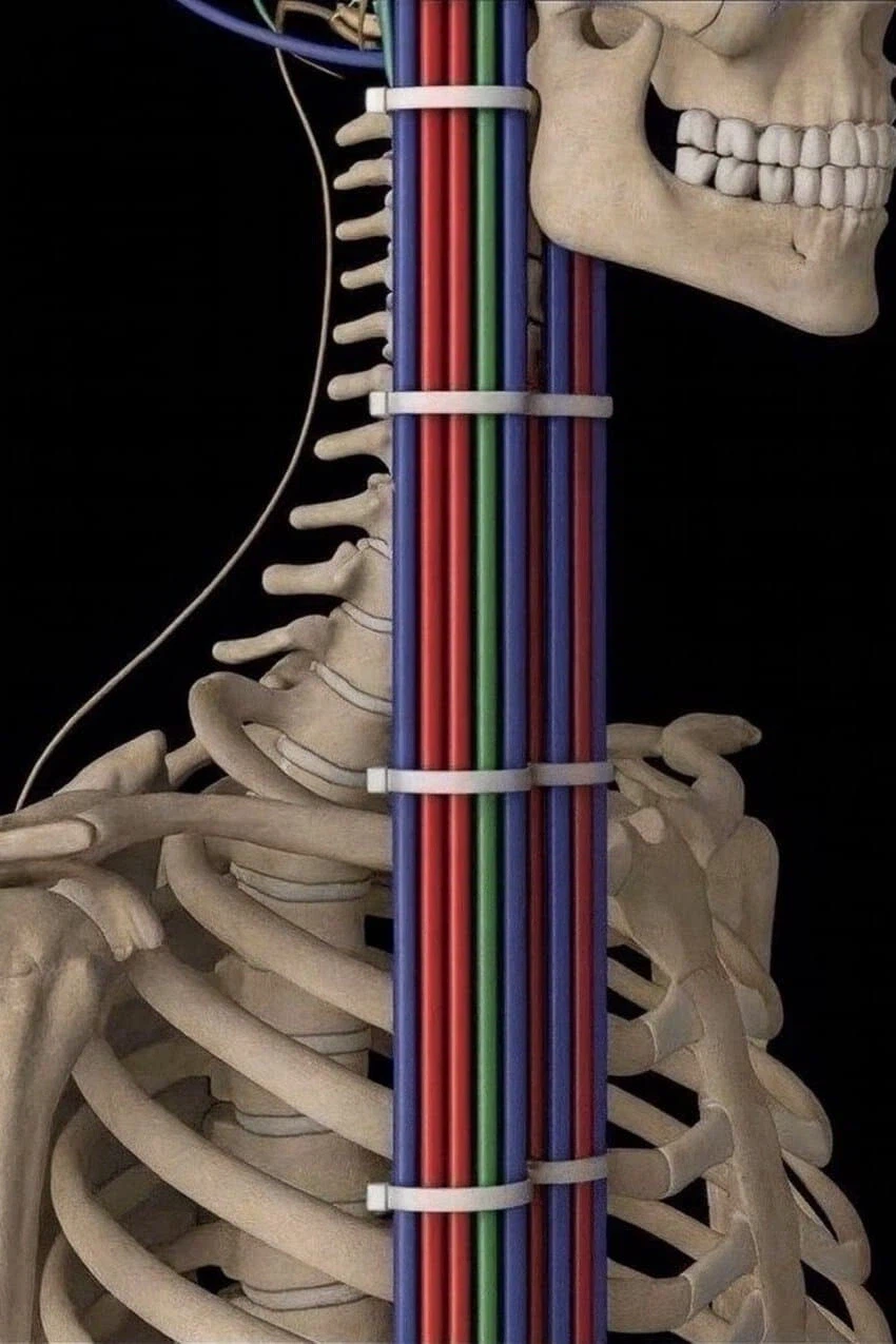 속이 편해지는 선정리_3.webp