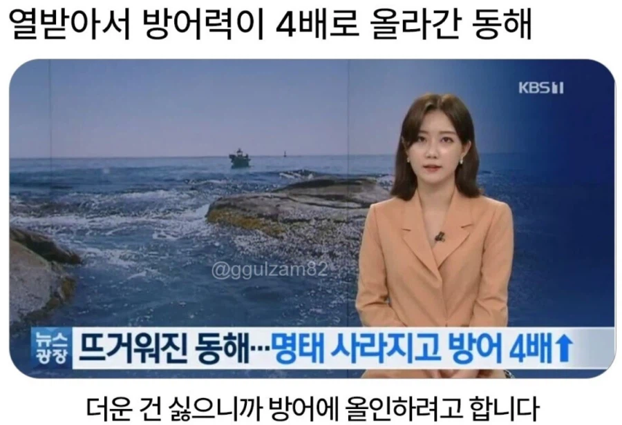 뜨거워진 동해의 선택은_1.webp