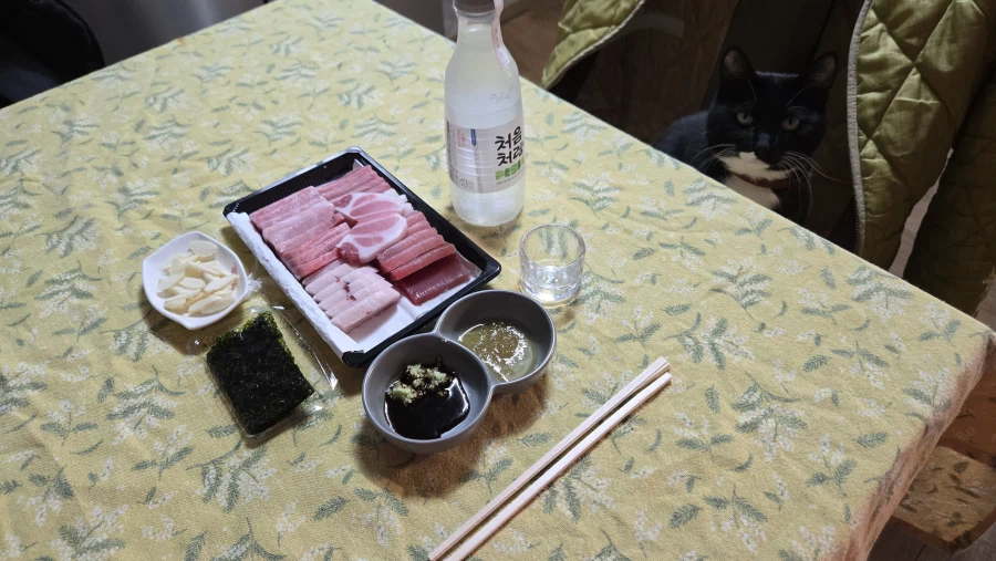 야옹이랑 참치회 먹음:-)_1.webp