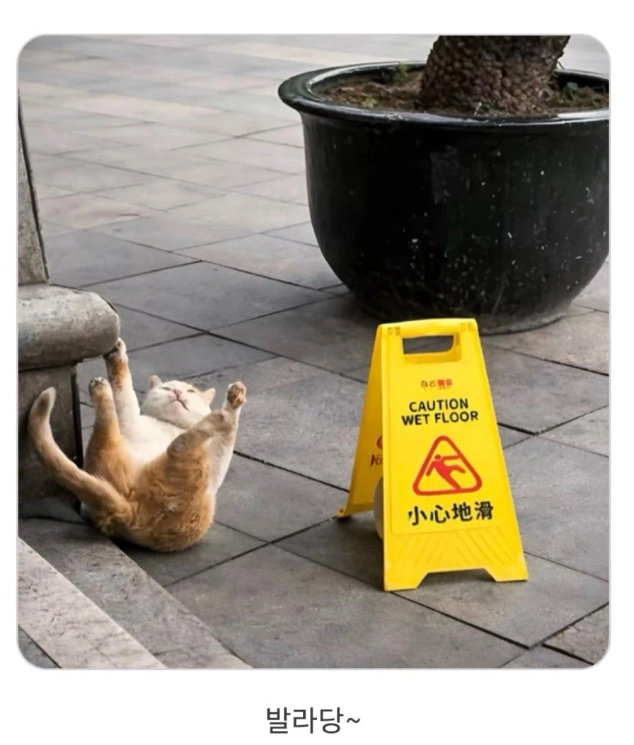 거 조심하랬자나요_1.webp