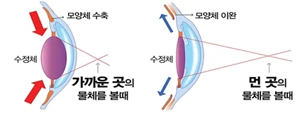 일본에서 만든 100만원짜리 신기한 안경_3.webp