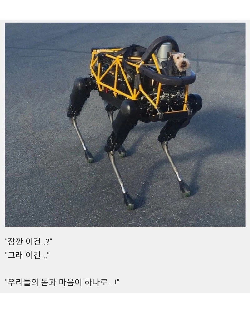 진부하지만 나오면 환장하는 클리셰_4.webp