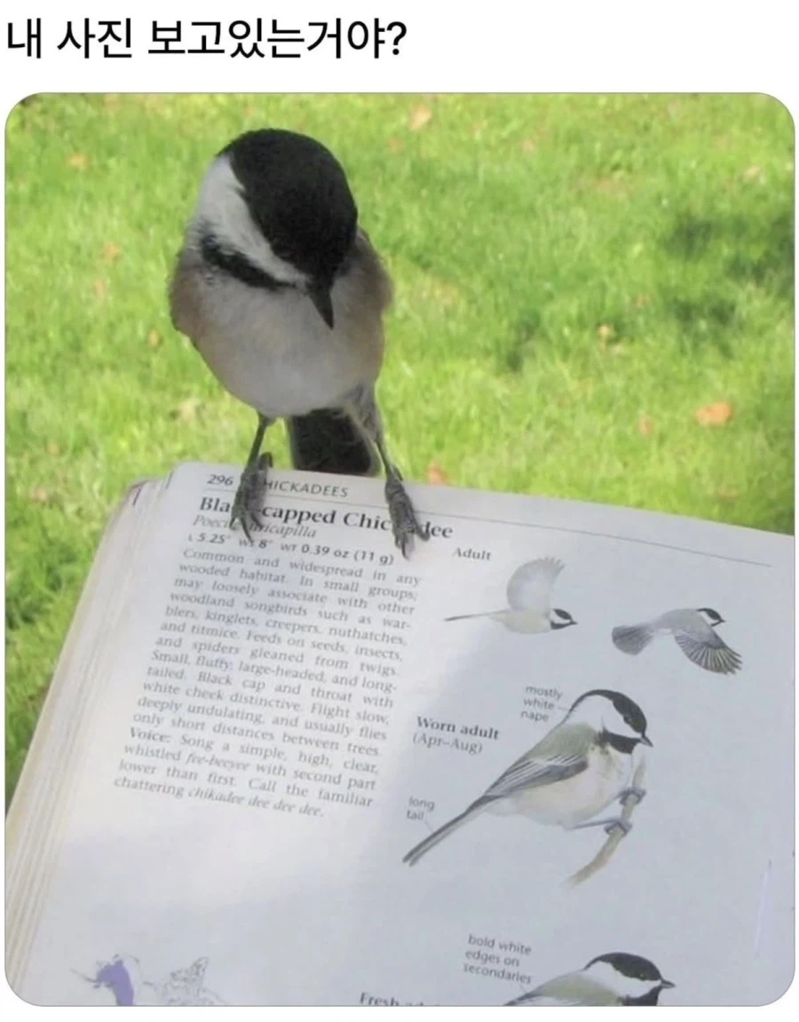 내 사진 보고있는거야?_1.webp