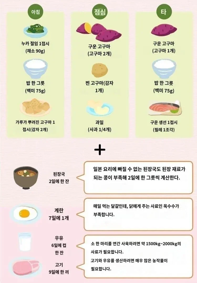 일본 농수산성에서 발표한 수입금지 되었을때 식단예시_2.webp