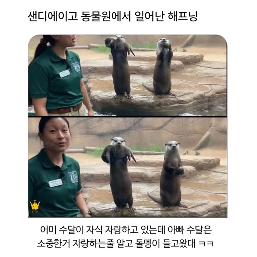 미국 동물원에서 일어난 해프닝.jpg_1.webp
