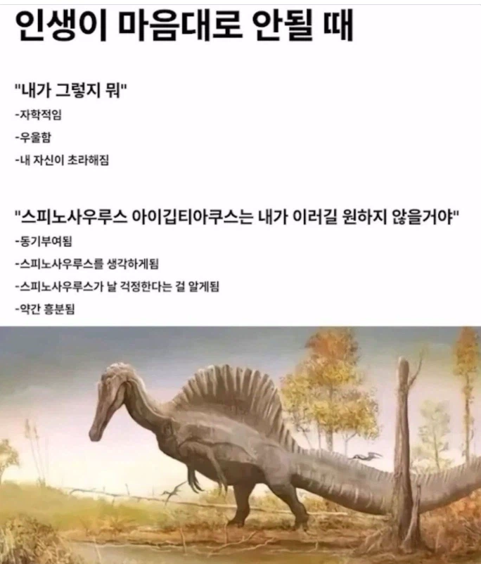 인생이 마음대로 안될때 극복하는 사고방식.jpg_1.webp