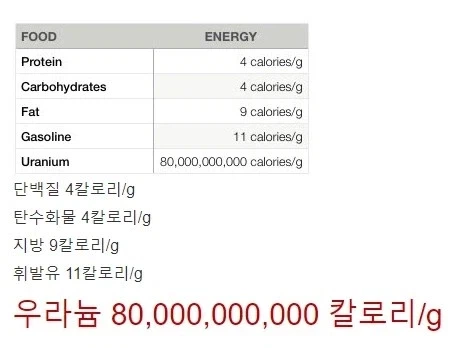 20대도 먹으면 안되는 절대 미식_1.webp