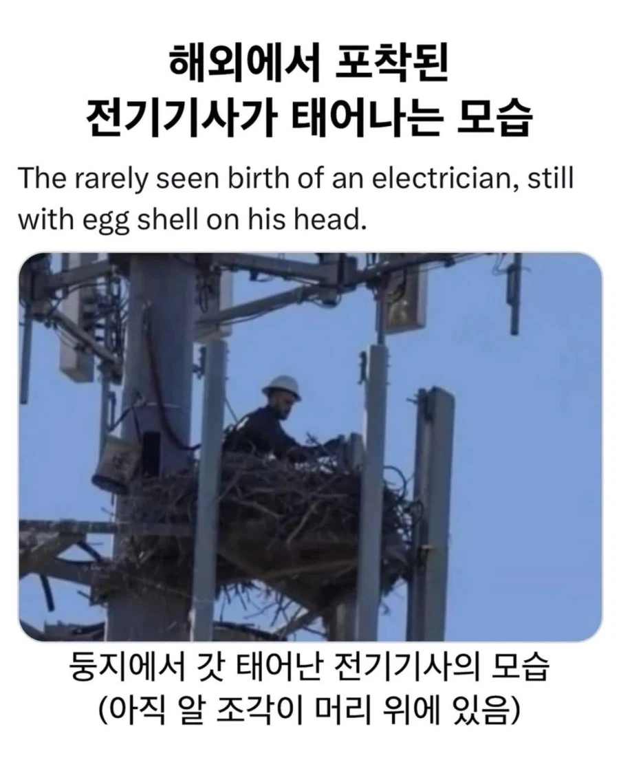 전기기사가 태어나는 모습 포착!_1.webp