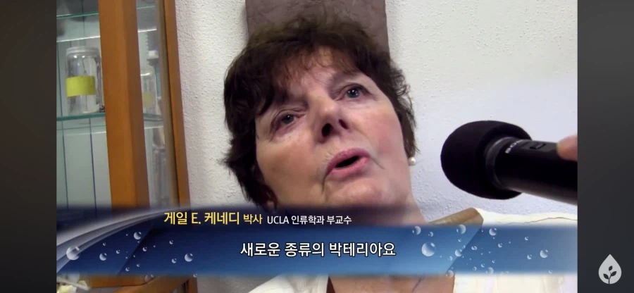 ???: 종류가 달라진 걸 못봤으니 진화론을 못믿겠다_2.webp