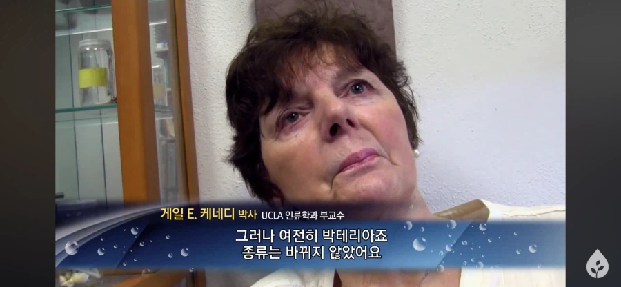 ???: 종류가 달라진 걸 못봤으니 진화론을 못믿겠다_3.webp