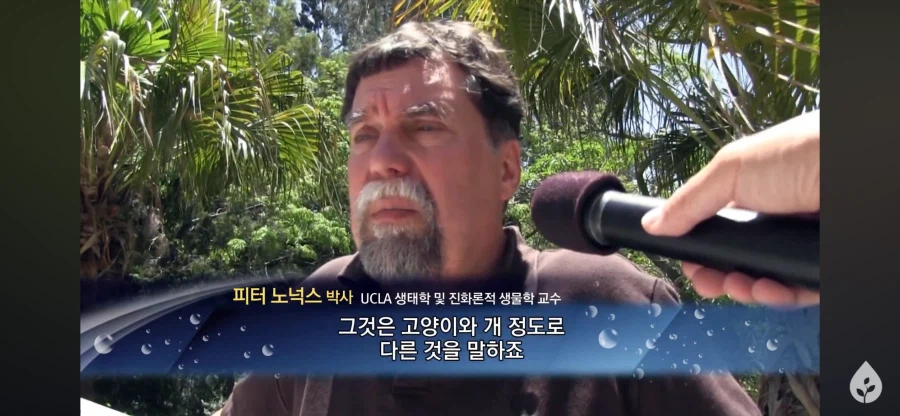 ???: 종류가 달라진 걸 못봤으니 진화론을 못믿겠다_11.webp