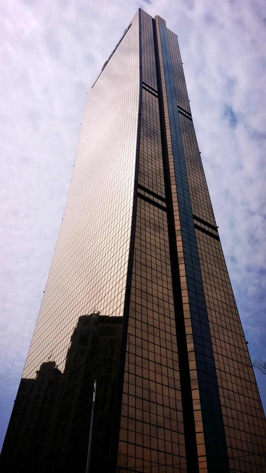 ???: 종류가 달라진 걸 못봤으니 진화론을 못믿겠다_12.webp