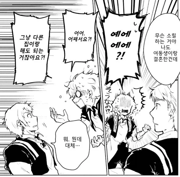 전생자 오빠가 여동생과 결혼하게 된 다는 얘길 듣고_4.webp