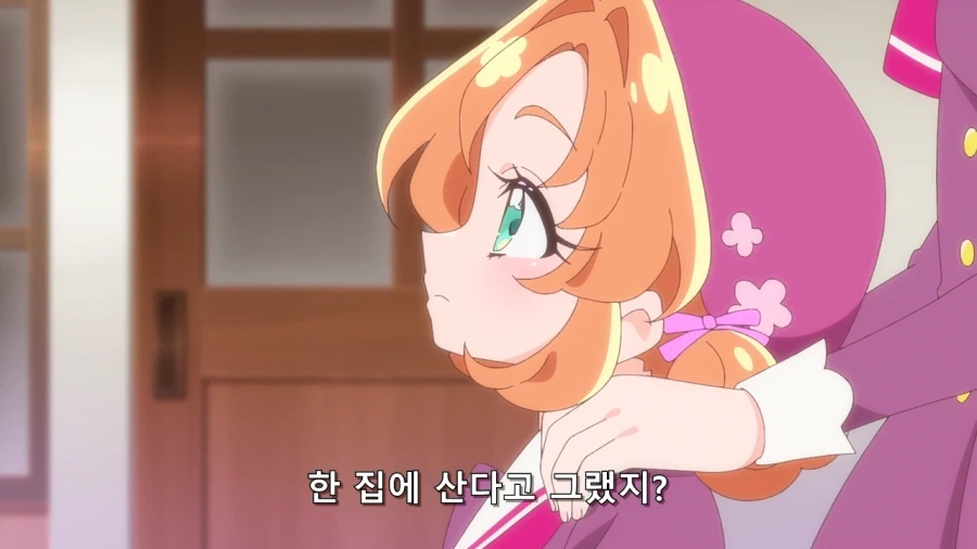 프리큐어 둘은 무슨 관계야_2.webp