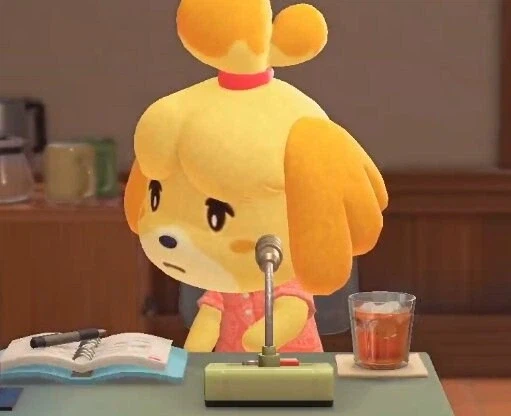 서양인들이 문화를 몰라서 일어난 동숲 참사_1.webp