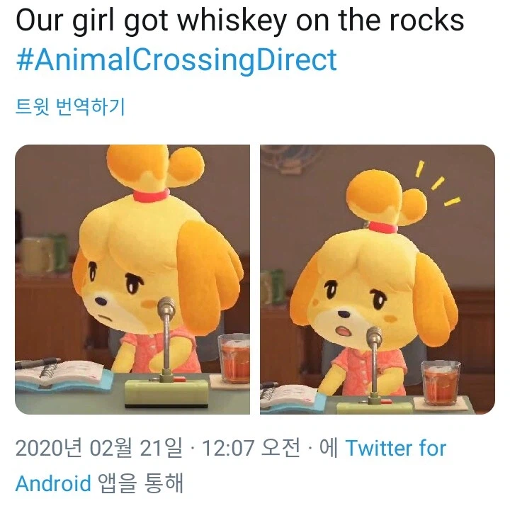 서양인들이 문화를 몰라서 일어난 동숲 참사_3.webp