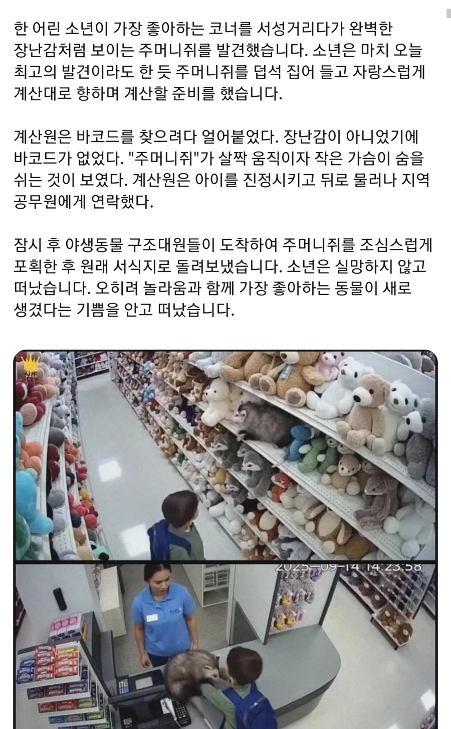 인형가게에서 리얼한 인형을 샀는데 공무원에게 신고들어간 사연_1.webp