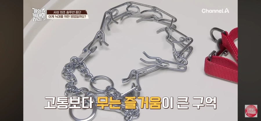 강형욱이 포기하고 견주를 설득하는 순간_9.webp