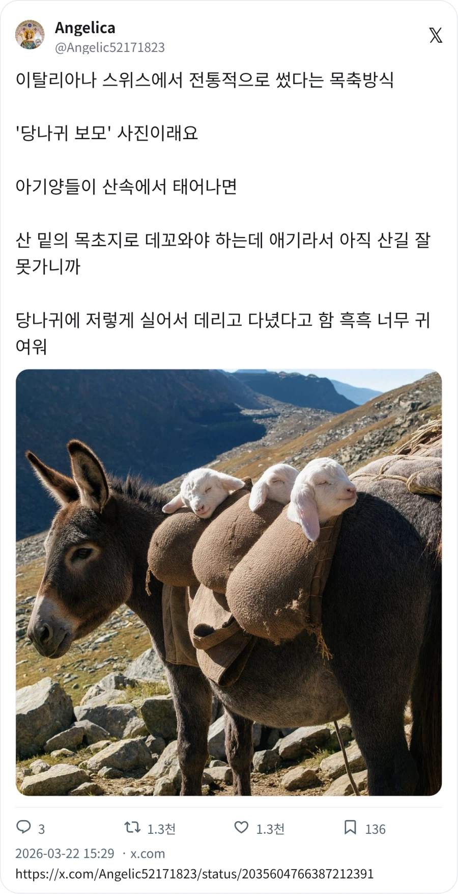 당나귀 보모_1.webp