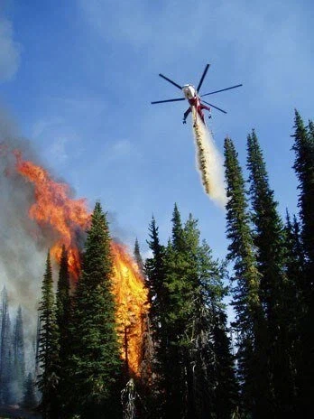 미국에서 엄청난 업적으로 여겨지는 직업 jpg._2.webp