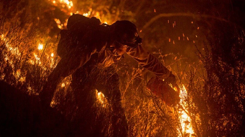 미국에서 엄청난 업적으로 여겨지는 직업 jpg._4.webp