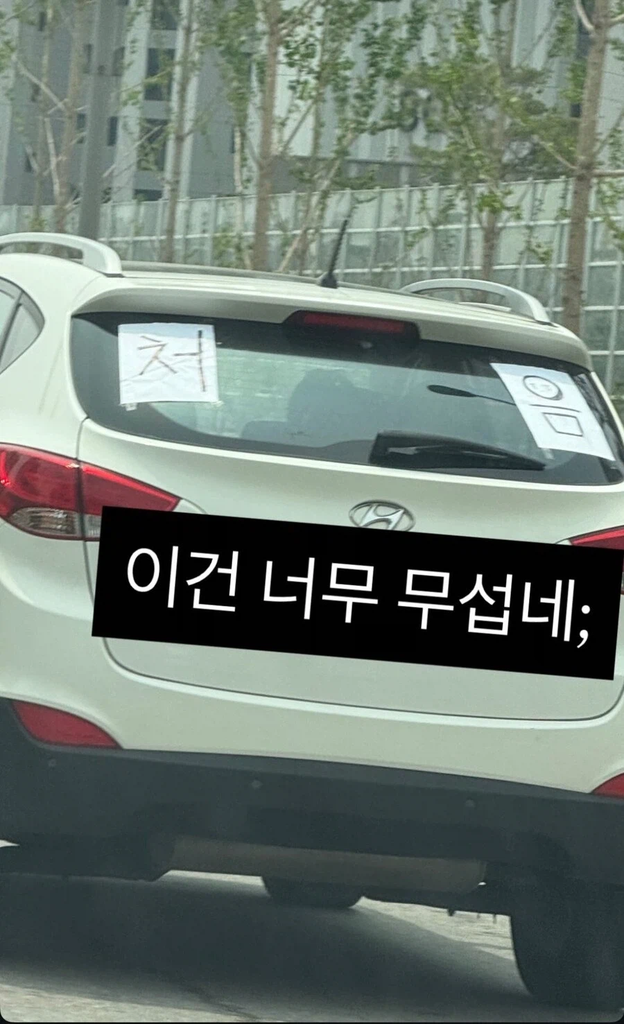 도로의 무서운 존재들_5.webp