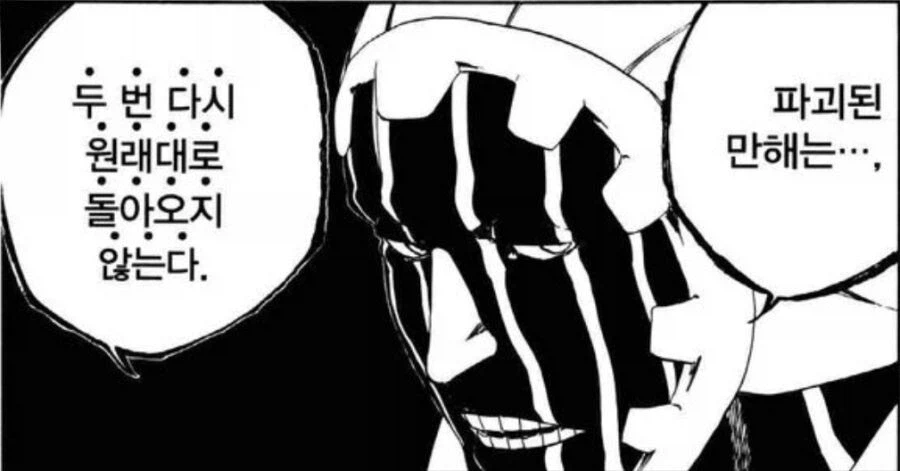 딱 한놈만 피해봤다는 블리치 만해 설정.jpg_1.webp