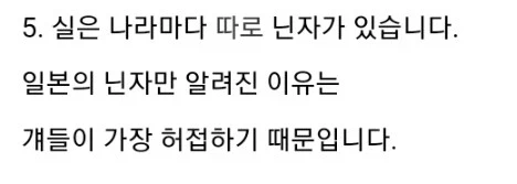 세계각국에 닌자가 있지만 일본닌자만 유명한 이유_1.webp