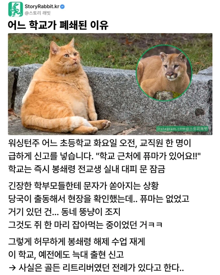 어느 학교가 폐쇄된 이유.jpg_1.webp