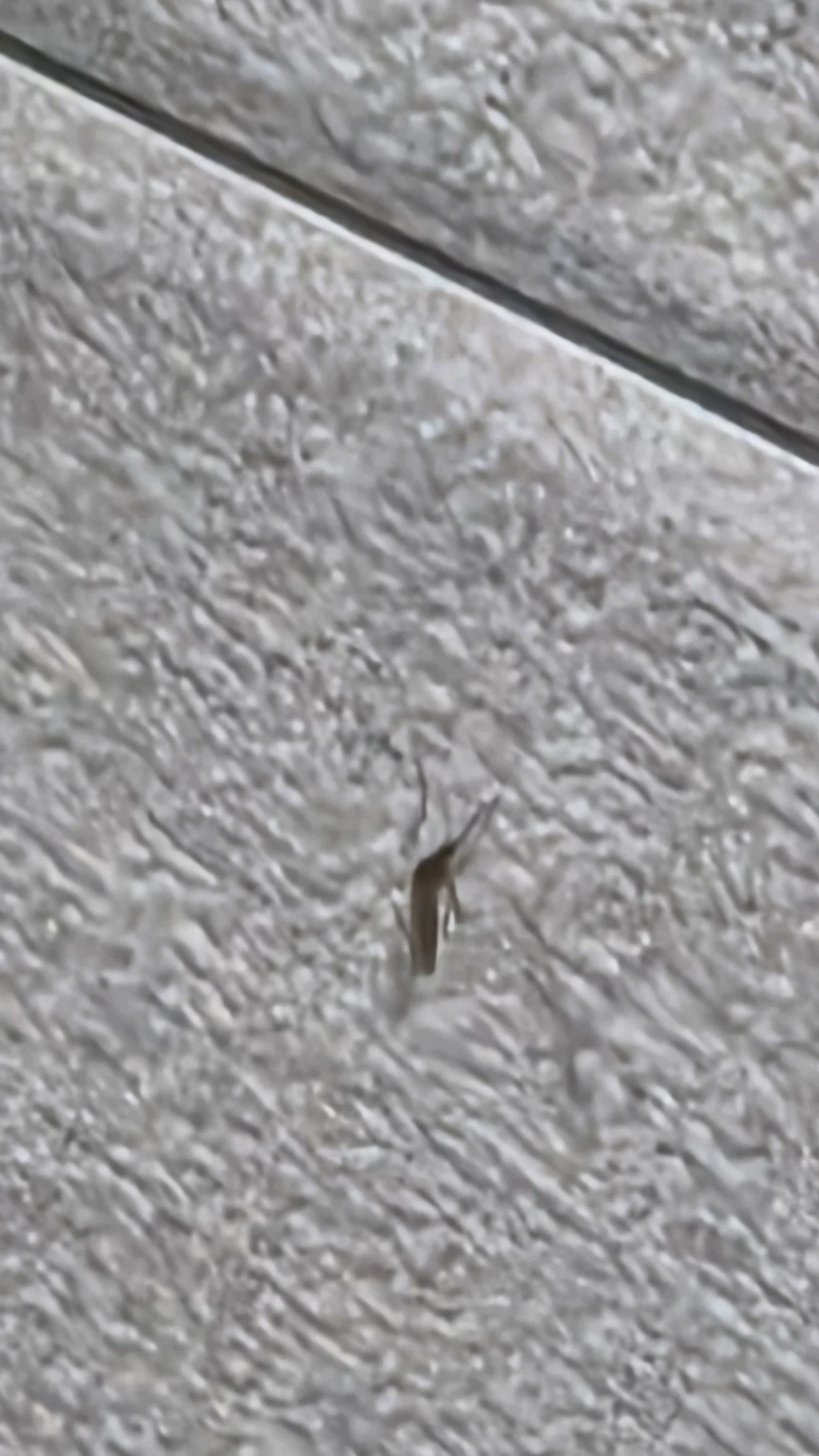 화장실 왔는데 이거 뭐야!!!!.jpg_3.webp