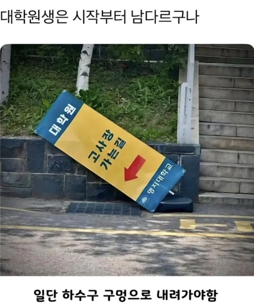 대학원 가는 길_1.webp