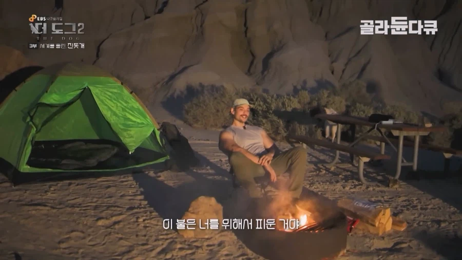 미국인이 키우는 진돗개의 위엄_4.webp