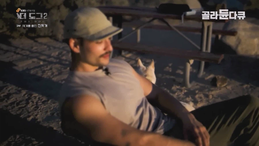 미국인이 키우는 진돗개의 위엄_6.webp