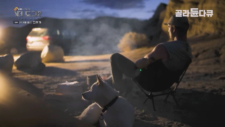 미국인이 키우는 진돗개의 위엄_9.webp