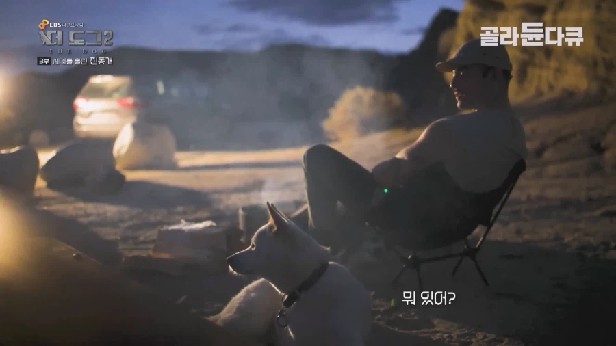 미국인이 키우는 진돗개의 위엄_10.webp