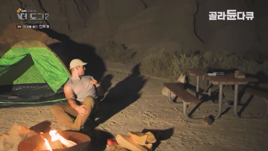 미국인이 키우는 진돗개의 위엄_14.webp