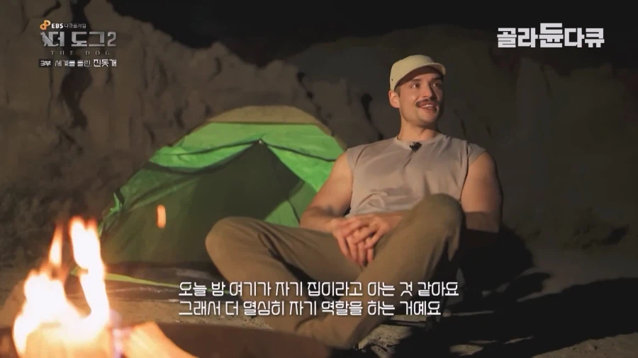 미국인이 키우는 진돗개의 위엄_16.webp