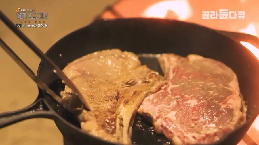 미국인이 키우는 진돗개의 위엄_17.webp