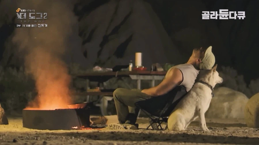 미국인이 키우는 진돗개의 위엄_18.webp