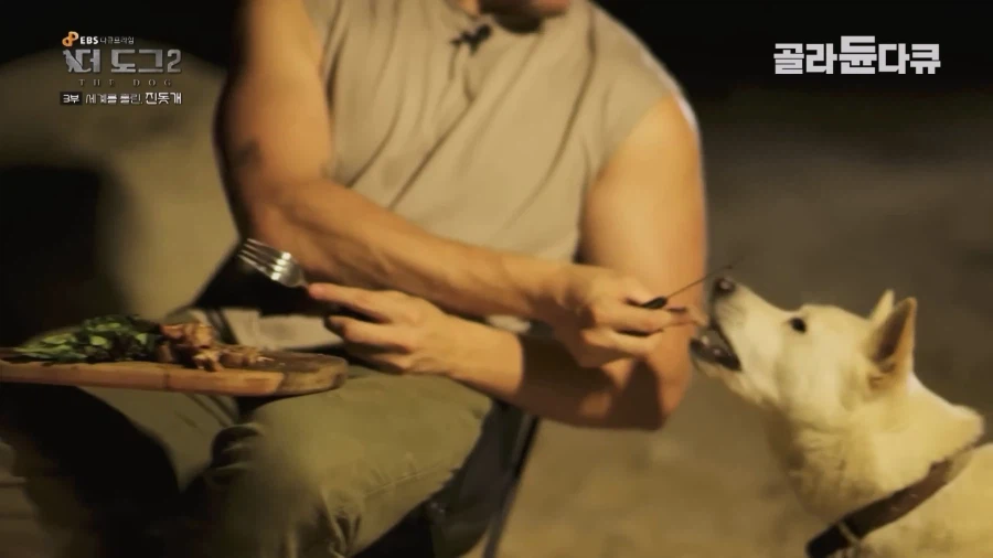 미국인이 키우는 진돗개의 위엄_25.webp