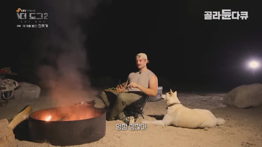 미국인이 키우는 진돗개의 위엄_28.webp