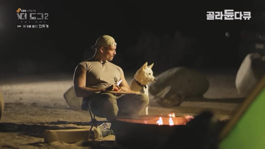 미국인이 키우는 진돗개의 위엄_29.webp