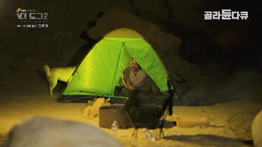 미국인이 키우는 진돗개의 위엄_31.webp