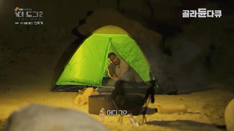 미국인이 키우는 진돗개의 위엄_32.webp