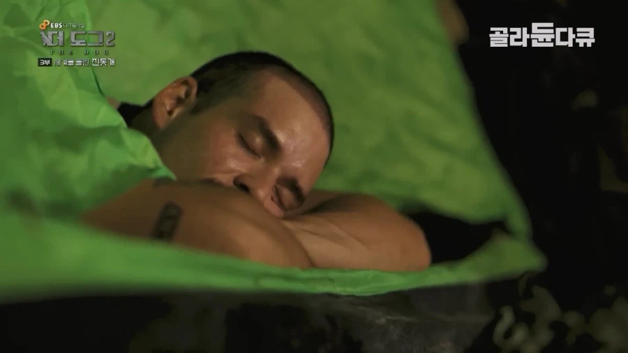 미국인이 키우는 진돗개의 위엄_39.webp