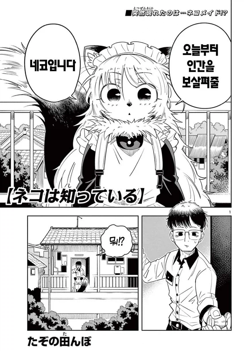 집에 고양이 메이드가 온.JPG_1.webp