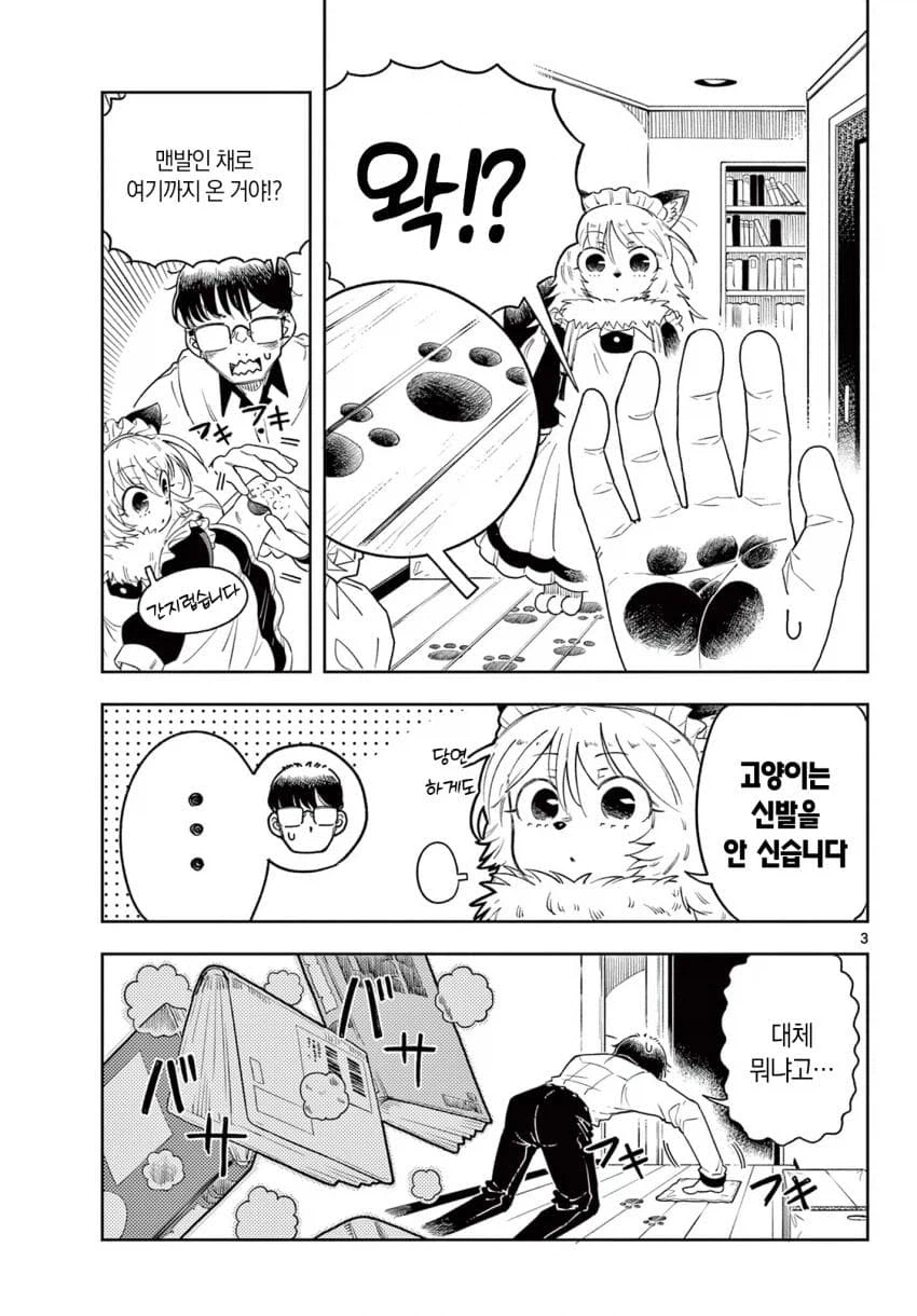 집에 고양이 메이드가 온.JPG_3.webp